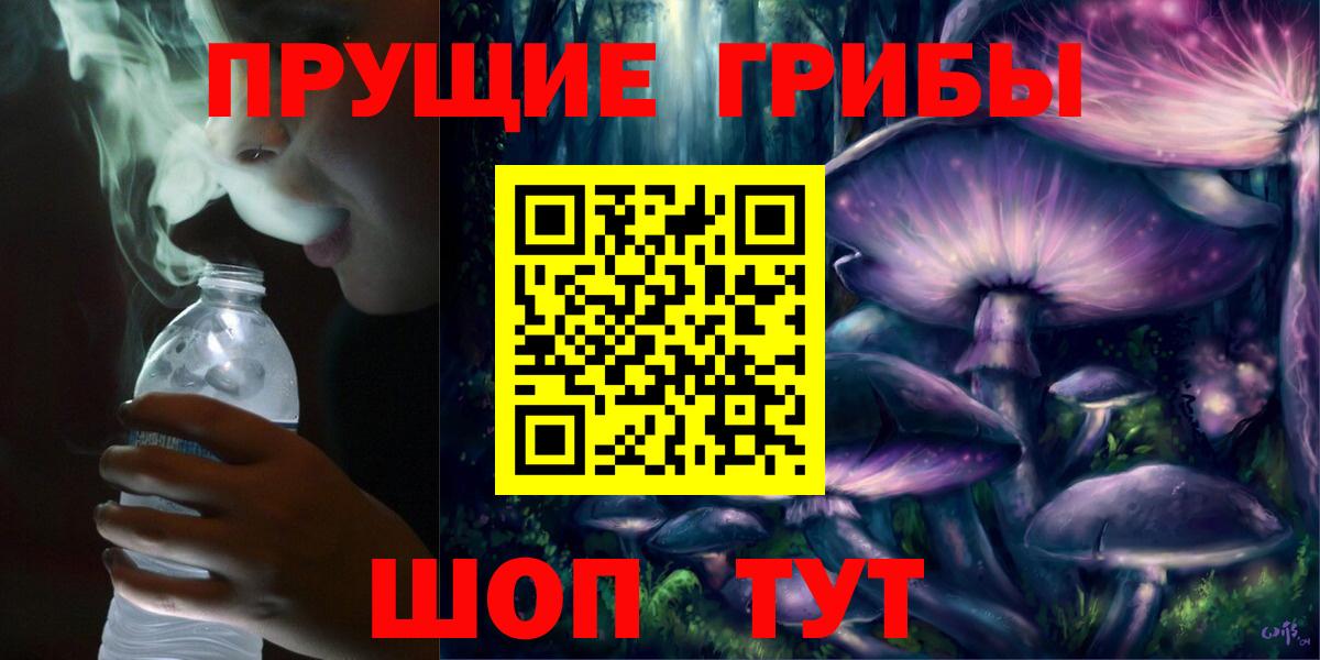 Псилоцибиновые грибы мицелий  Вход с VPN  Пушкино  Псилоцибиновые грибы Psilocybine cubensis 
